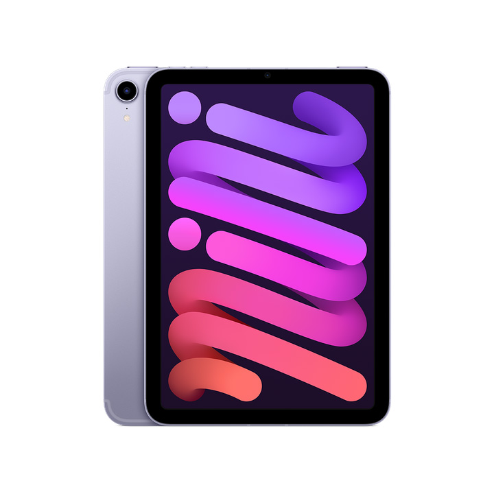 iPad Mini 2021 Purple