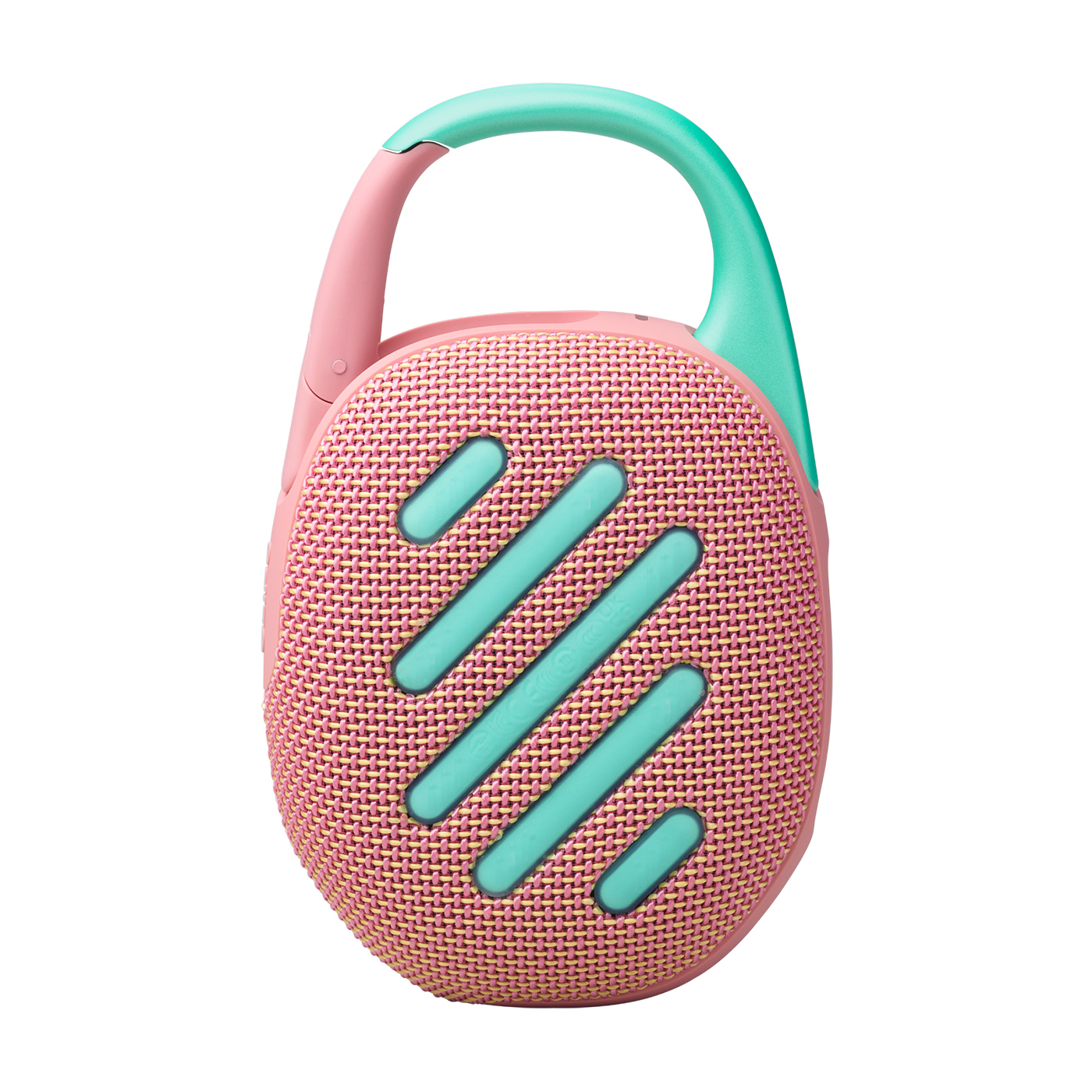 Loa JBL Clip 5 Pink