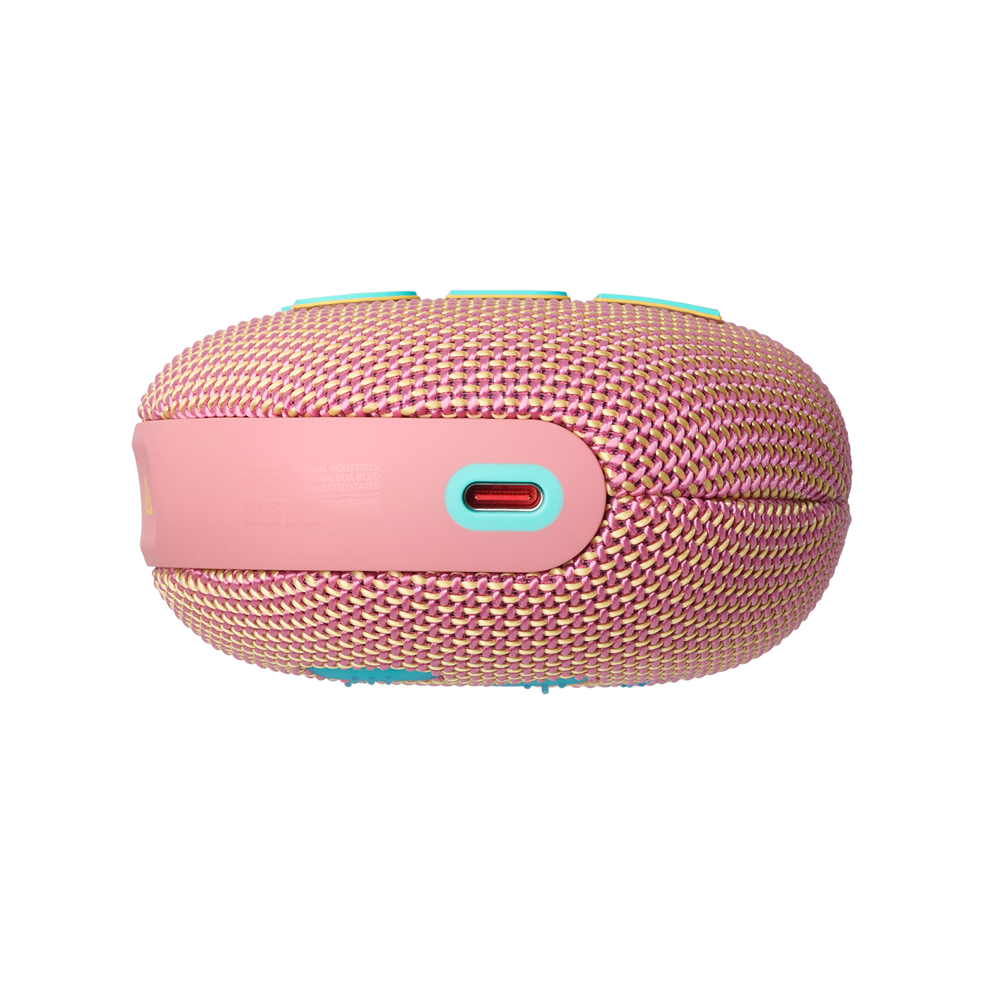 Loa JBL Clip 5 Pink