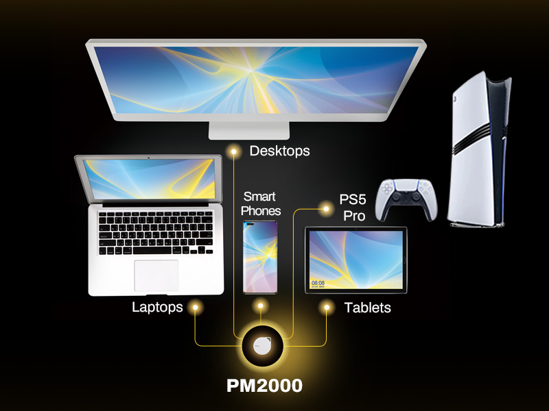 SSD Biwin Amber PM2000