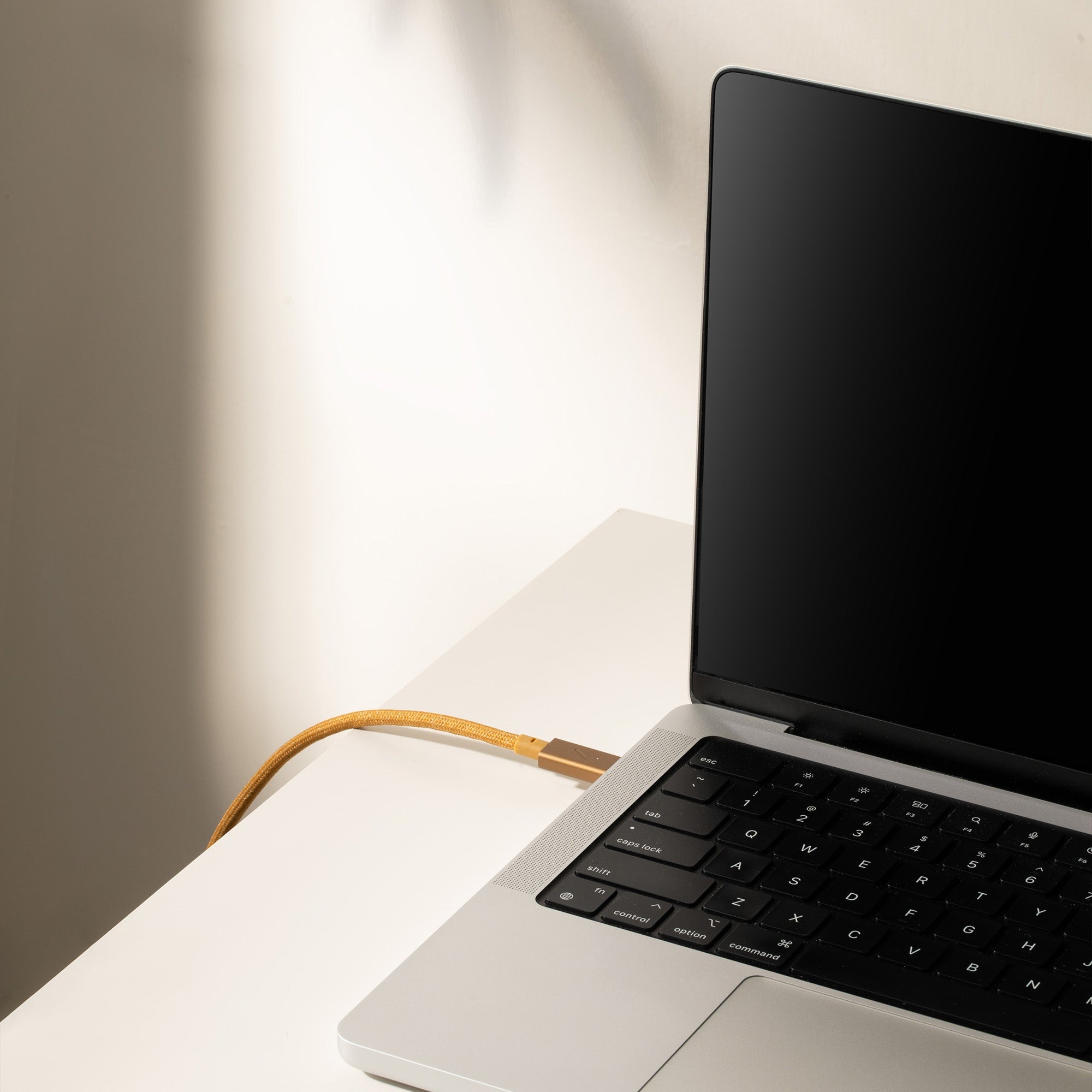 Cáp Native Union Belt Cable USB-C to USB-C 240W