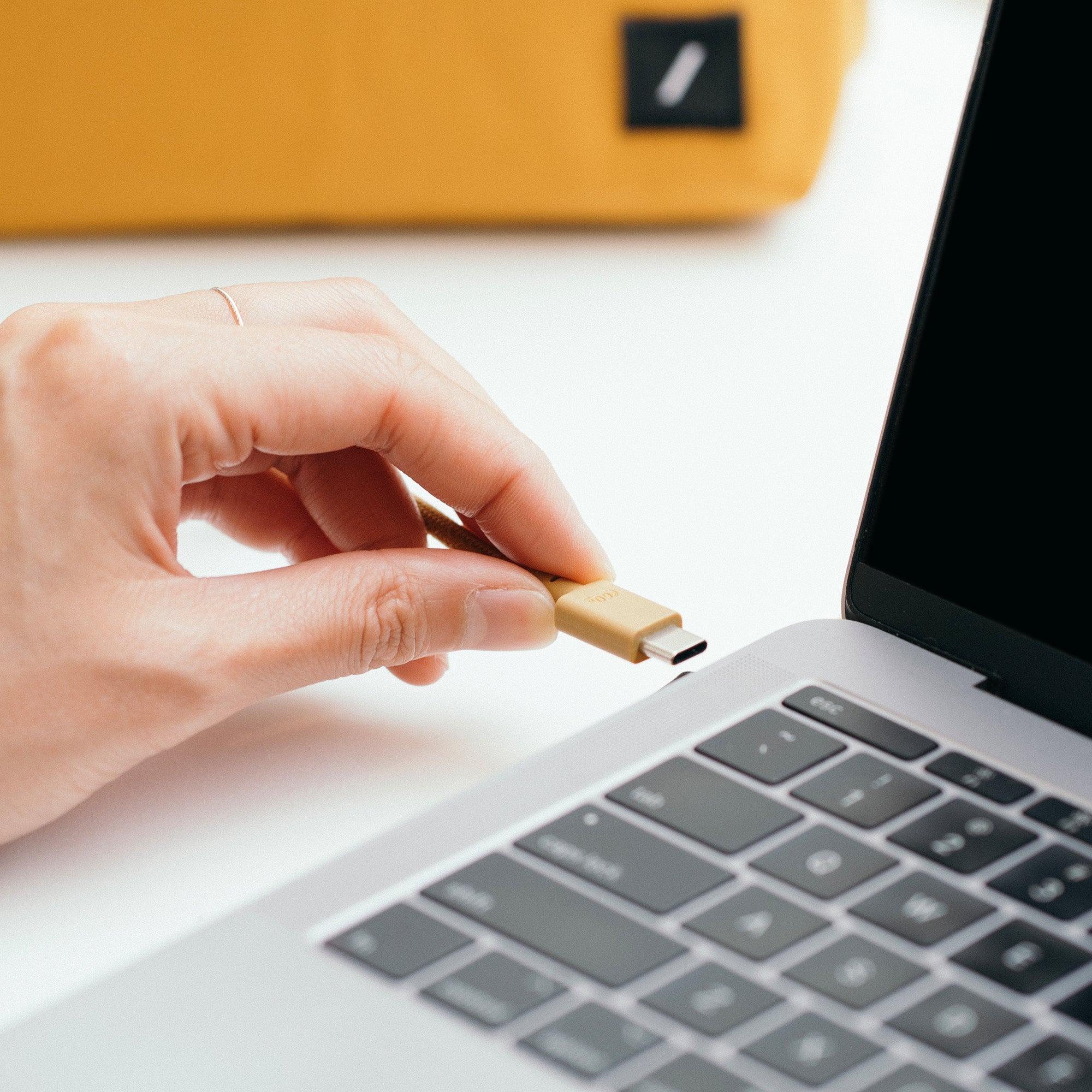 Cáp Native Union Belt Cable USB-C to USB-C