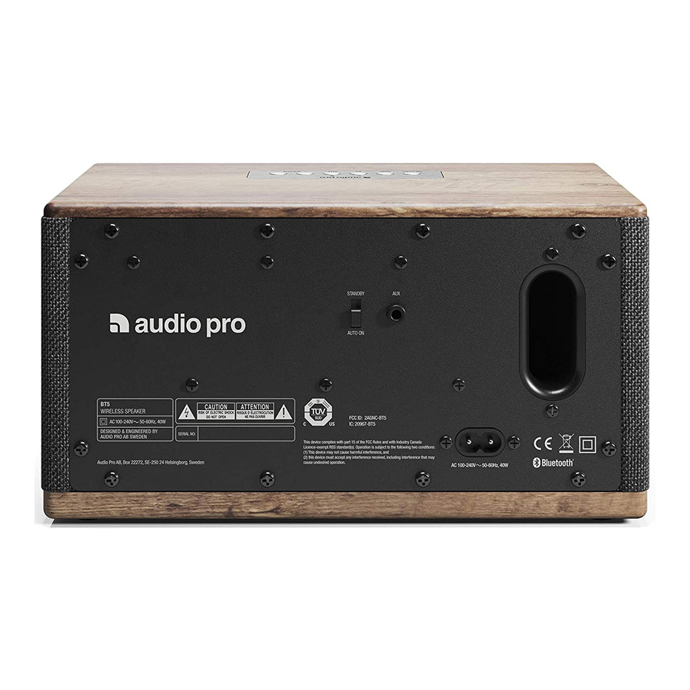 Loa Audio Pro BT5